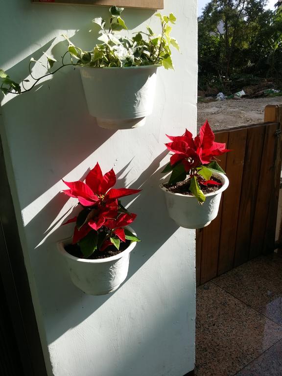Flower B&B Hualien City Εξωτερικό φωτογραφία